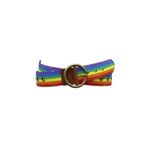 Most Wanted Rainbow Belt Womens Large Multi Color Canvas Leather Trim 5112
